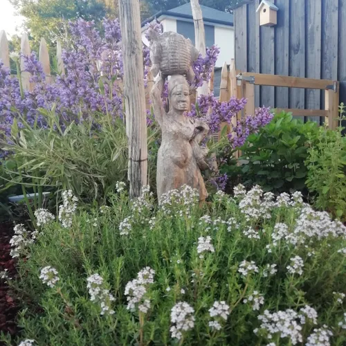 IDEAL VEGETAL : des paysagistes 100% Eco-responsables !